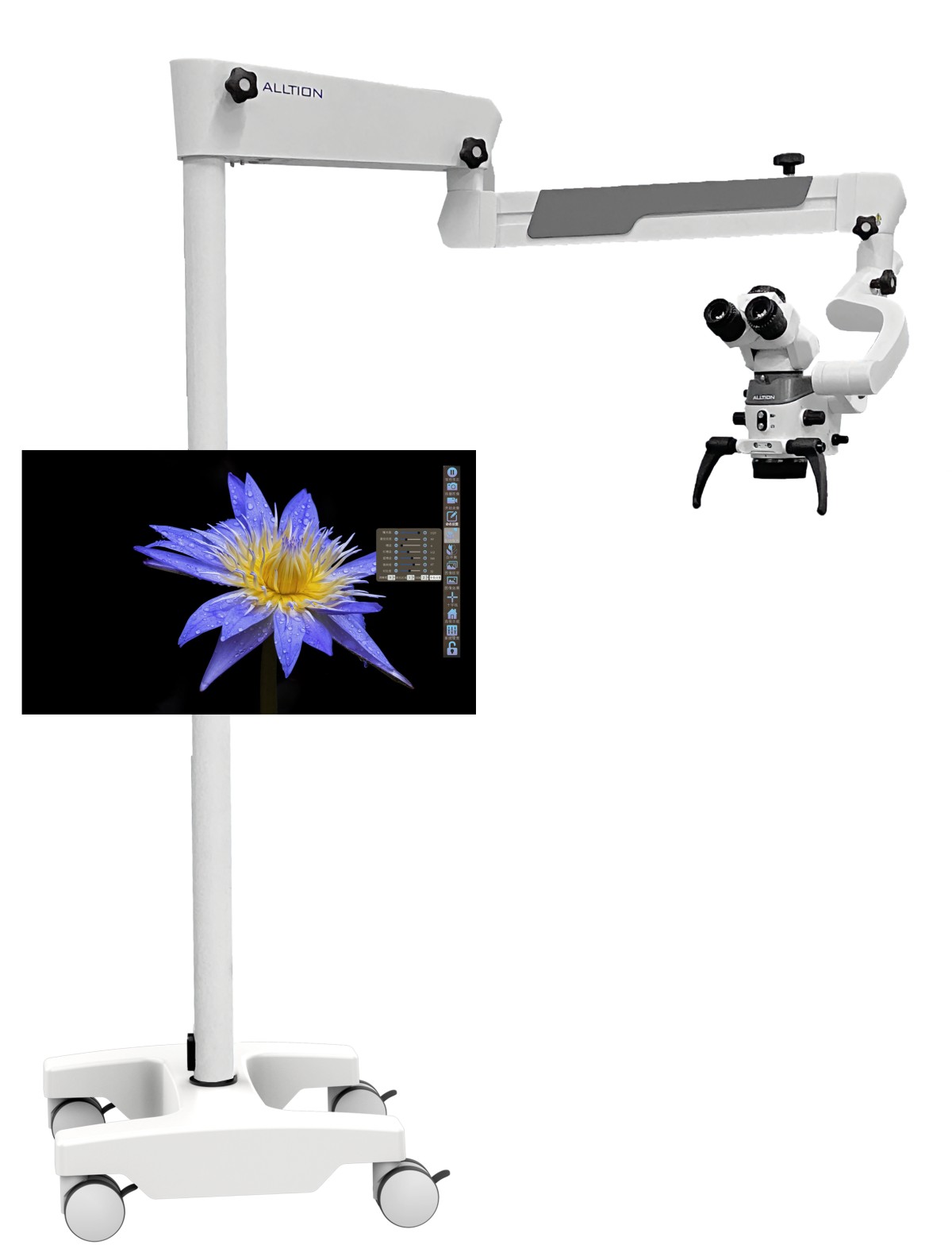 AM-5000